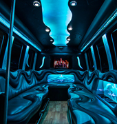 10 passenger limousine