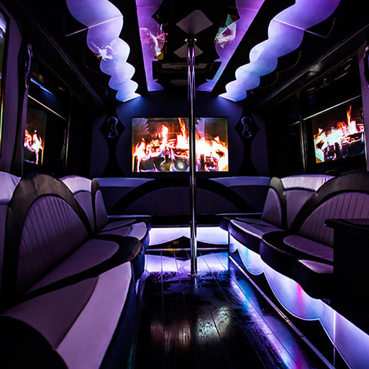 40 passenger party bus rental