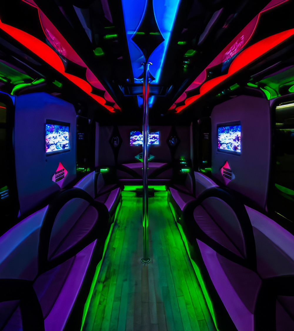 leather limo seating